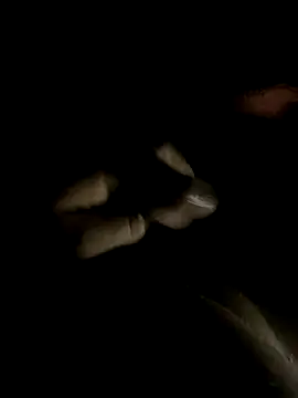 Snapshot of ersoy12 chatting on October 14, 2025, 11:58 pm ersoy12 online show from October 14, 2025, 11:58 pm