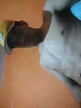 Xhimo5 online show from March 10, 2026, 6:28 am