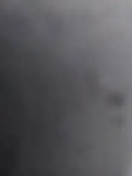 12dery online show from November 10, 2025, 11:37 am