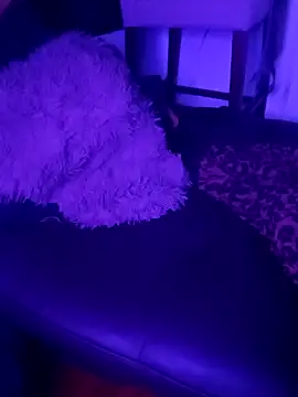 Snapshot of Nisha_Benz chatting on September 22, 2025, 8:04 pm Nisha Benz online show from September 22, 2025, 8:04 pm