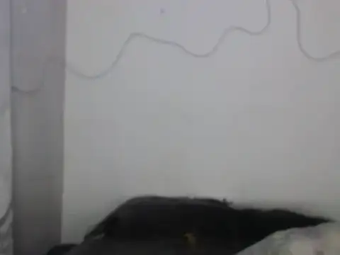 xalejo max online show from February 16, 2026, 7:34 pm