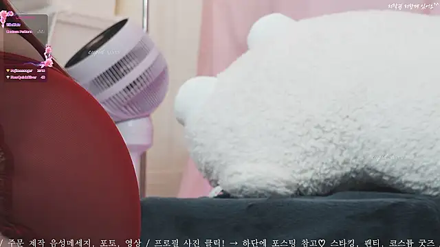 Cupid 33333 online show from September 27, 2025, 7:25 am