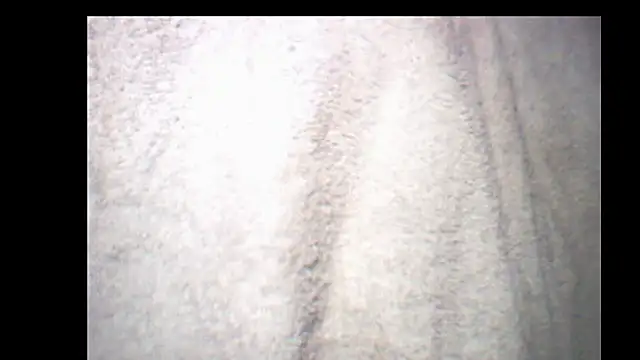 Snapshot of pietje1991 chatting on December 14, 2025, 10:26 pm pietje1991 online show from December 14, 2025, 10:26 pm