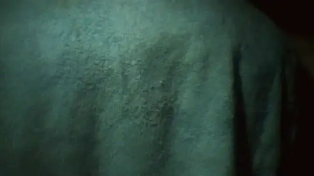 Snapshot of pietje1991 chatting on March 2, 2026, 2:56 am pietje1991 online show from March 2, 2026, 2:56 am