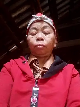 VangLe73 online show from December 2, 2025, 4:47 am