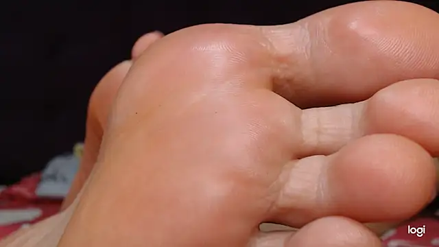 ash feet online show from November 13, 2025, 2:37 am