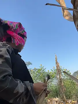 Phayphay77 online show from November 15, 2025, 8:18 am