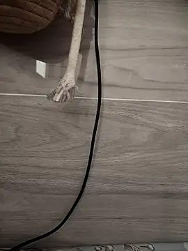 Tan32 11 online show from January 14, 2026, 5:22 am