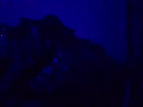 Snapshot of harish_x chatting on April 20, 2026, 7:04 pm harish x online show from April 20, 2026, 7:04 pm