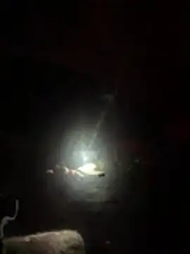 slicksdick25 online show from April 3, 2026, 9:32 pm