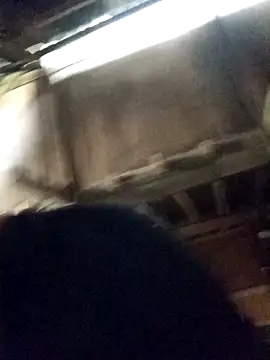 Bianly online show from April 16, 2026, 9:32 am