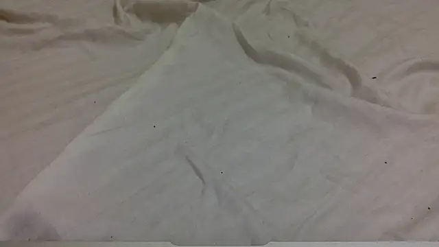 tutu101 online show from January 15, 2026, 12:52 pm