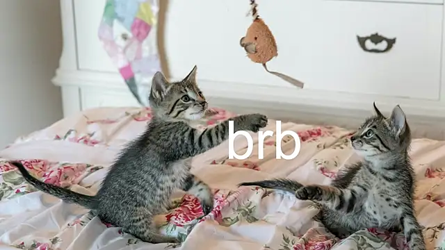 Pink girl0n online show from November 17, 2025, 7:07 pm