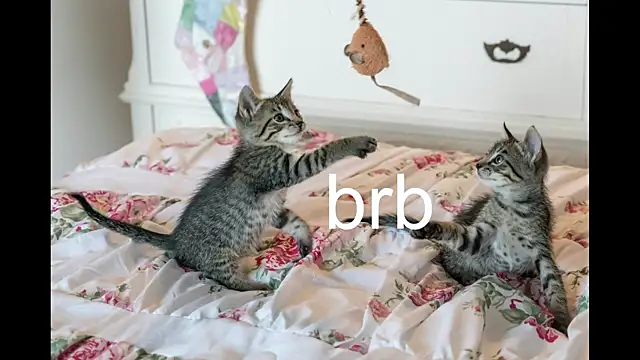 Pink girl0n online show from October 19, 2025, 8:44 pm