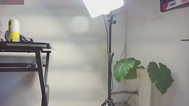 Snapshot of sakuramoss chatting on October 24, 2025, 6:45 am sakuramoss online show from October 24, 2025, 6:45 am