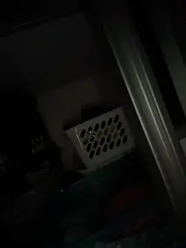 raynstars online show from November 16, 2025, 12:37 am