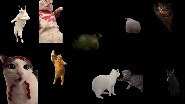 Snapshot of ch0wn_m chatting on February 1, 2026, 2:59 pm ch0wn m online show from February 1, 2026, 2:59 pm