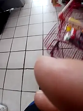 Snapshot of cicinha3657 chatting on February 20, 2026, 6:32 pm cicinha3657 online show from February 20, 2026, 6:32 pm