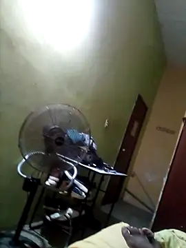 cometa267 online show from October 14, 2025, 4:02 am