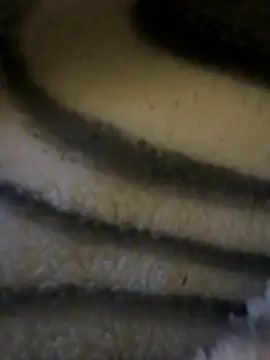 Snapshot of Simon-xx chatting on February 15, 2026, 3:40 am Simon-xx online show from February 15, 2026, 3:40 am