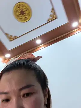 Sunny lotus online show from April 8, 2026, 4:47 am