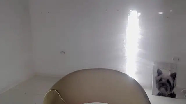 Stein  online show from September 19, 2025, 11:58 am