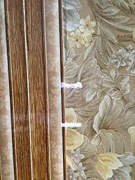 Snapshot of Julia-Elsa chatting on November 2, 2025, 3:55 am Julia-Elsa online show from November 2, 2025, 3:55 am