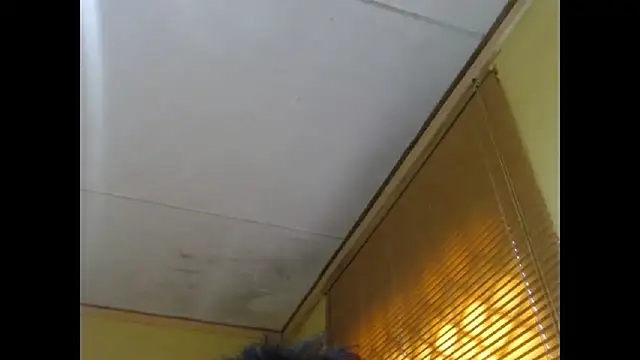 NawtyLisa online show from March 3, 2026, 2:02 pm