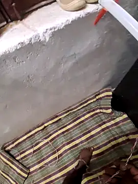 RAYI Queen 3 online show from November 27, 2025, 2:50 pm