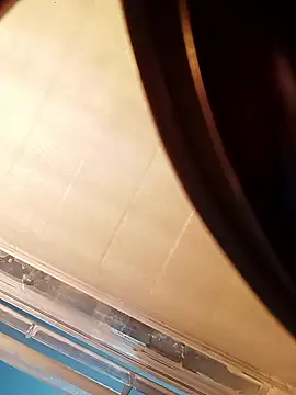 NISHU-TELUGU online show from January 17, 2026, 3:37 pm