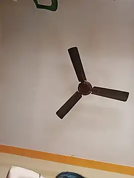 NISHU-TELUGU online show from December 17, 2025, 3:33 am