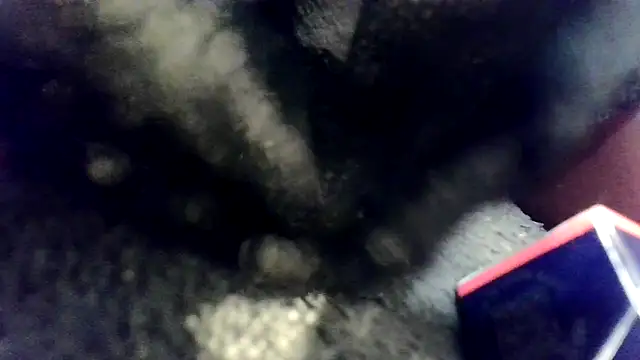 Snapshot of Evieskyy@xh chatting on November 26, 2025, 10:48 am Evieskyyxh online show from November 26, 2025, 10:48 am