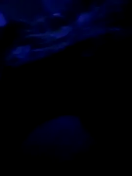 Georgerazvan1989 online show from January 14, 2026, 6:17 am