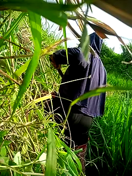 Snapshot of ttbiin chatting on July 31, 2026, 9:19 am ttbiin online show from July 31, 2026, 9:19 am