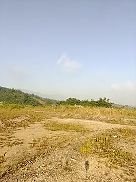 asian 2k online show from November 26, 2025, 1:16 am