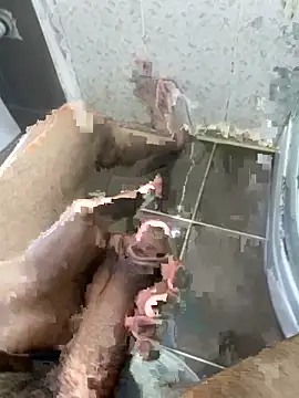 BatchedTracer online show from April 3, 2026, 10:49 pm