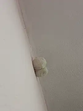 Snapshot of saranghae_ chatting on February 28, 2026, 3:39 am saranghae online show from February 28, 2026, 3:39 am