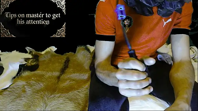 Snapshot of JUSTFORRICH chatting on January 15, 2026, 3:10 am JUSTFORRICH online show from January 15, 2026, 3:10 am