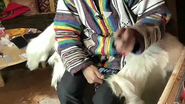 Snapshot of JUSTFORRICH chatting on December 23, 2025, 2:44 am JUSTFORRICH online show from December 23, 2025, 2:44 am