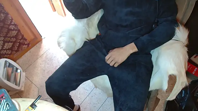 Snapshot of JUSTFORRICH chatting on January 7, 2026, 2:11 pm JUSTFORRICH online show from January 7, 2026, 2:11 pm