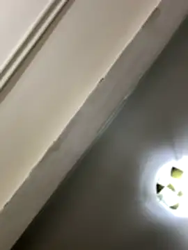 lynn9000 online show from November 29, 2025, 9:09 am