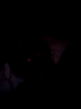 Steehood online show from January 10, 2026, 5:47 am