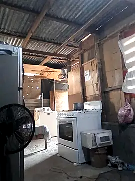 Steehood online show from November 20, 2025, 2:51 pm