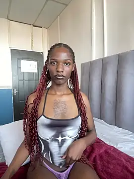 Snapshot of Trans_fairy chatting on February 17, 2026, 6:11 am Trans fairy online show from February 17, 2026, 6:11 am