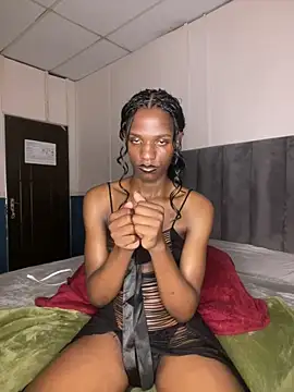 Snapshot of Trans_fairy chatting on February 2, 2026, 8:30 pm Trans fairy online show from February 2, 2026, 8:30 pm