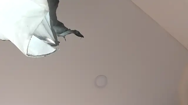 sweet  vanessa1 online show from March 9, 2026, 7:39 pm