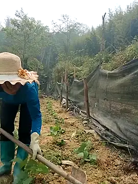 ngocngoc cute online show from April 15, 2026, 3:56 am