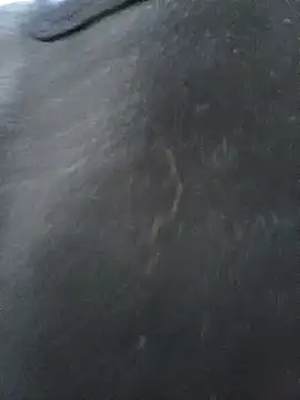 CWQ123 online show from November 17, 2025, 11:36 am