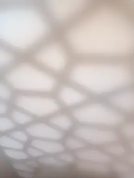 bullut06 online show from January 11, 2026, 11:06 am