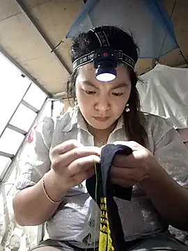 naop04 online show from November 6, 2025, 11:36 am